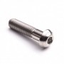 Vis à Tête Bombée Plate en Titane M10 x (1.25mm) x 30mm - DIN 7380